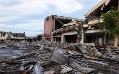 Cutremur de magnitudine 7,1 în Japonia. Zeci de persoane sunt prinse sub dărâmăturile unui centru comercial prăbușit