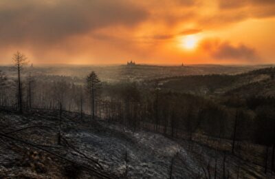 Incendiile de vegetație devastează Europa. Peste 266.000 de hectare arse și 320.000 de evacuări în Franța și Spania