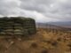 Belarus formează o nouă brigadă militară la 40 de kilometri de granița cu Ucraina