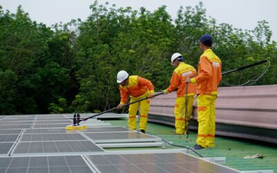 SUA au pierdut 36.949 de locuri de muncă în energia curată în 2025, după patru ani de creștere